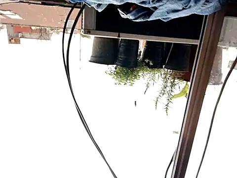 puak6666 online show from September 29, 2025, 8:02 pm