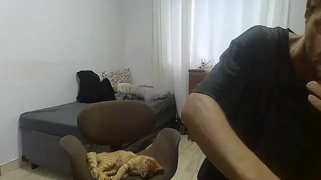 prorafadodoce online show from February 5, 2026, 9:58 am