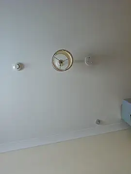 meateater1 online show from November 18, 2025, 9:47 am