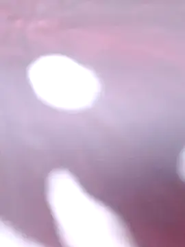 Priya Bong online show from December 16, 2025, 2:27 am