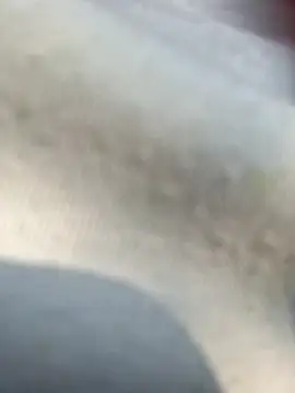 Priya Bong online show from February 25, 2026, 4:00 am