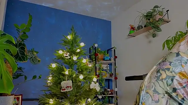  lightmyfire online show from December 5, 2025, 4:36 pm