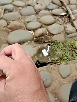 Paul0127 online show from October 29, 2025, 3:36 pm