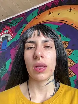  Artemisa X online show from November 29, 2025, 5:16 pm