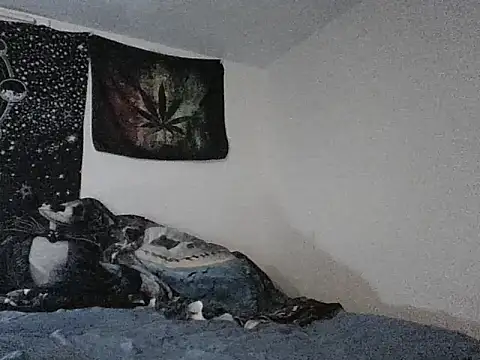 webetokinmo420 online show from November 29, 2025, 10:29 am