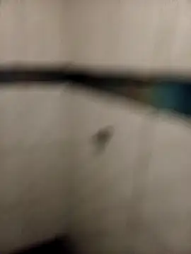 Snapshot of ladygmusic chatting on February 6, 2026, 8:51 am ladygmusic online show from February 6, 2026, 8:51 am