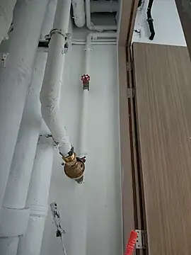 2tomka52052sex online show from January 8, 2025, 7:03 am