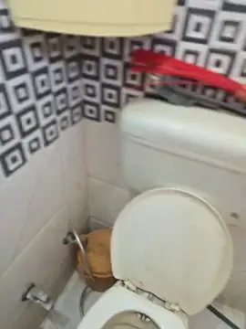 Loveboycurvy online show from April 2, 2026, 4:43 am