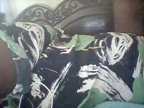 Snapshot of missarpie chatting on February 11, 2026, 5:23 am missarpie online show from February 11, 2026, 5:23 am