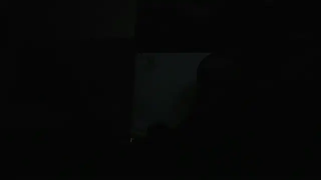 guy master online show from December 6, 2024, 1:44 pm