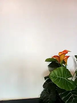 JemaimaPrincess online show from March 21, 2025, 11:22 am