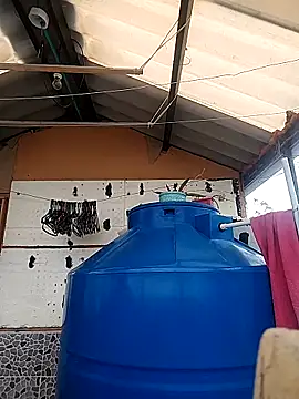 rebekka simpson online show from October 16, 2025, 4:08 pm