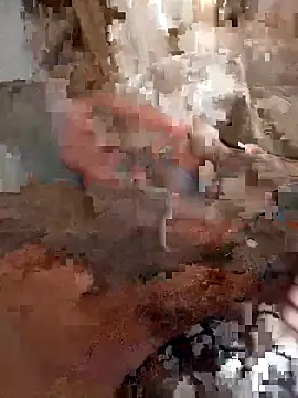 Snapshot of Din0071 chatting on December 22, 2025, 3:31 pm Din0071 online show from December 22, 2025, 3:31 pm