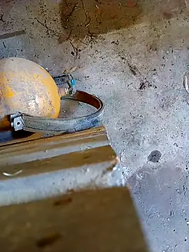 Snapshot of Din0071 chatting on January 7, 2026, 5:59 pm Din0071 online show from January 7, 2026, 5:59 pm