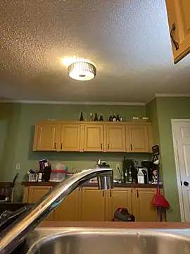 Snapshot of velvetta_ chatting on December 29, 2024, 7:22 pm velvetta  online show from December 29, 2024, 7:22 pm