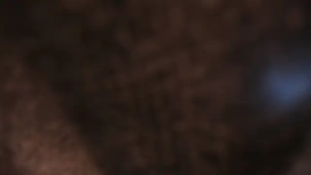 AliceHanz online show from January 8, 2026, 4:26 am