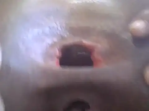 petitev online show from January 2, 2025, 4:41 am