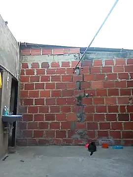 ariana d20 online show from March 11, 2025, 10:53 pm