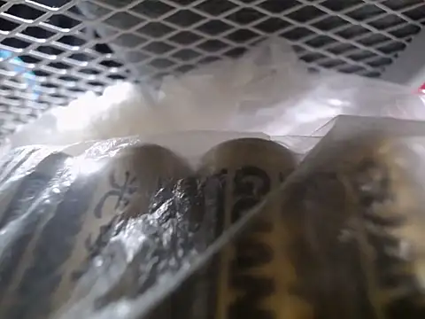 Lovensetest online show from September 30, 2025, 7:35 am