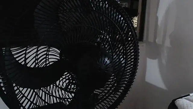 harry greg21 online show from November 15, 2025, 1:58 am