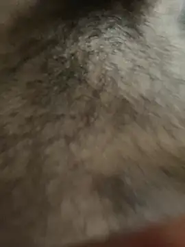 legendcock123 online show from February 18, 2026, 11:17 am