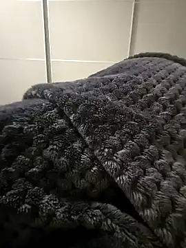 Snapshot of Hardmard chatting on December 7, 2024, 3:41 pm Hardmard online show from December 7, 2024, 3:41 pm