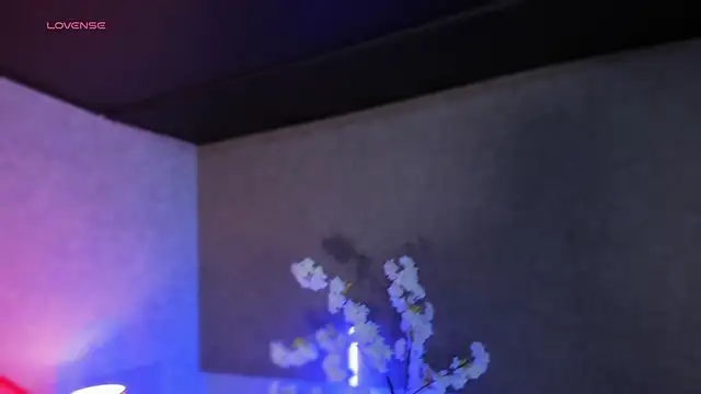 Snapshot of MelodyAdamss chatting on February 14, 2026, 11:34 pm MelodyAdamss online show from February 14, 2026, 11:34 pm