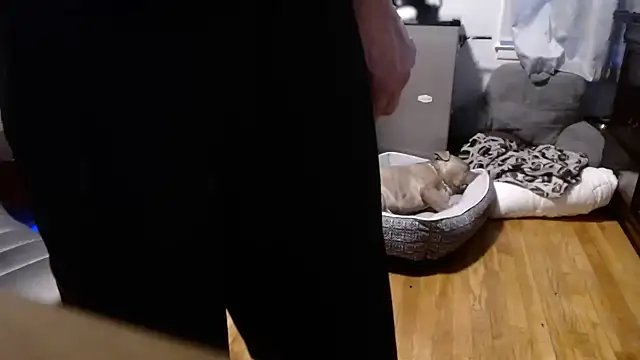 flexingplexico online show from February 16, 2026, 10:50 pm