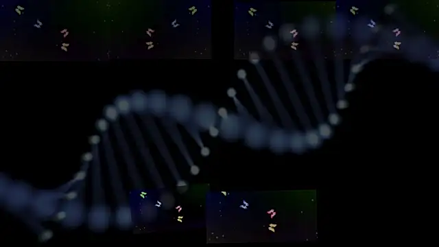 OwenBluee online show from January 29, 2025, 9:33 am