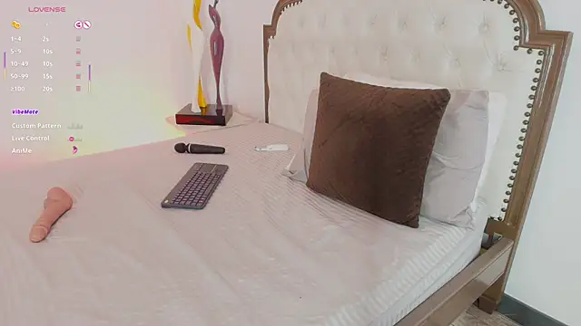 Snapshot of Arya-02 chatting on September 13, 2025, 10:59 am Arya-02 online show from September 13, 2025, 10:59 am