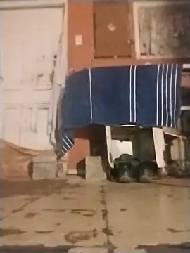 Snapshot of brownfeet chatting on January 18, 2025, 4:59 am brownfeet online show from January 18, 2025, 4:59 am