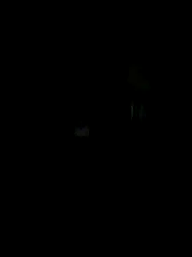 Off the Lesh online show from October 15, 2025, 7:19 am