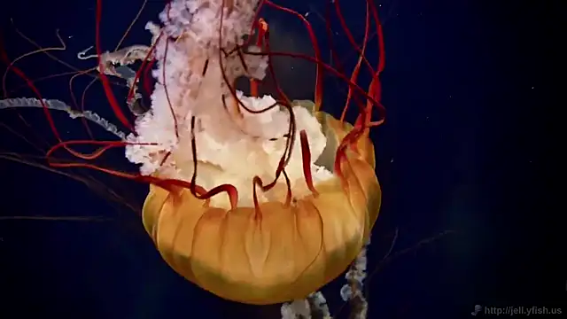 streamy test12 online show from March 23, 2026, 10:08 am