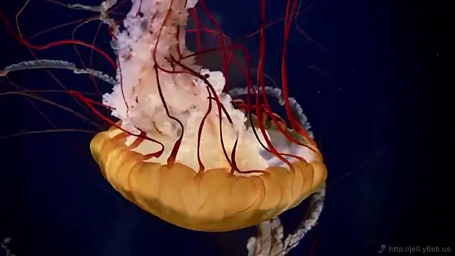 Snapshot of streamy_test15 chatting on September 19, 2025, 10:16 am streamy test15 online show from September 19, 2025, 10:16 am