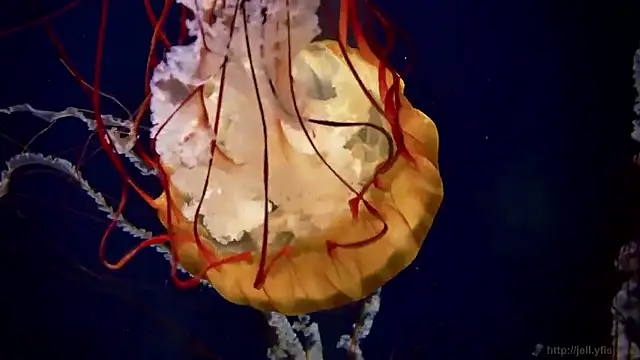 Snapshot of streamy_test15 chatting on October 2, 2025, 8:43 am streamy test15 online show from October 2, 2025, 8:43 am