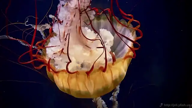 Snapshot of streamy_test15 chatting on November 4, 2025, 11:53 am streamy test15 online show from November 4, 2025, 11:53 am