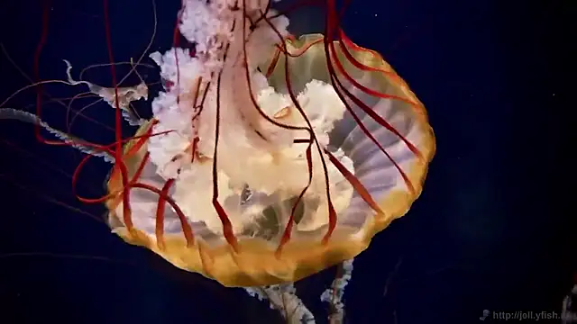 Snapshot of streamy_test15 chatting on February 5, 2026, 9:36 am streamy test15 online show from February 5, 2026, 9:36 am