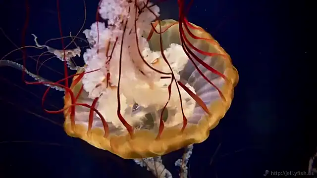 Snapshot of streamy_test15 chatting on February 12, 2026, 1:39 pm streamy test15 online show from February 12, 2026, 1:39 pm