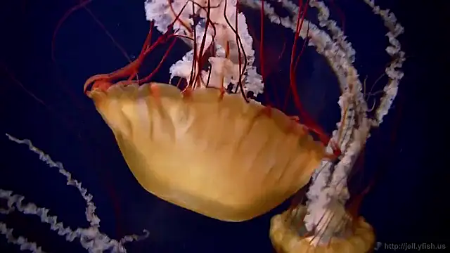 Snapshot of streamy_test15 chatting on February 16, 2026, 4:25 pm streamy test15 online show from February 16, 2026, 4:25 pm