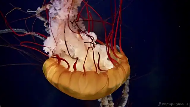 Snapshot of streamy_test15 chatting on February 18, 2026, 9:38 am streamy test15 online show from February 18, 2026, 9:38 am