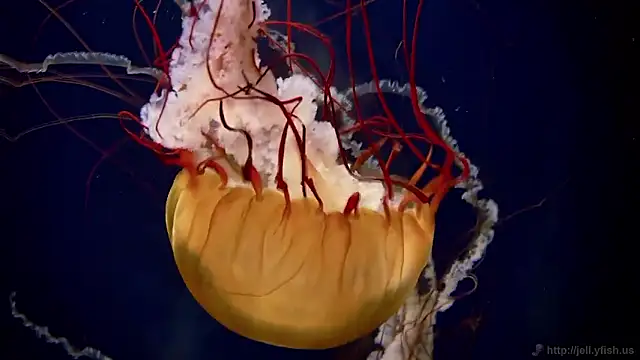 Snapshot of streamy_test15 chatting on February 26, 2026, 1:32 pm streamy test15 online show from February 26, 2026, 1:32 pm