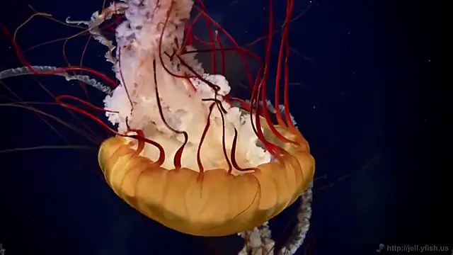 Snapshot of streamy_test15 chatting on February 27, 2026, 8:58 am streamy test15 online show from February 27, 2026, 8:58 am