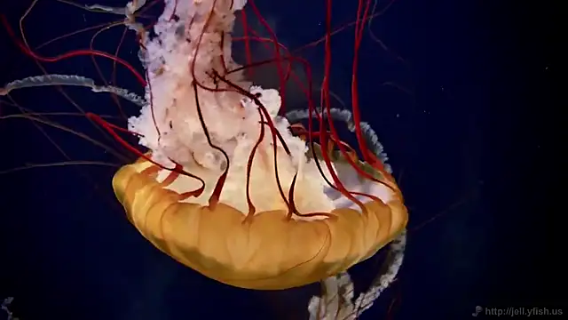 Snapshot of streamy_test15 chatting on March 13, 2026, 1:40 pm streamy test15 online show from March 13, 2026, 1:40 pm