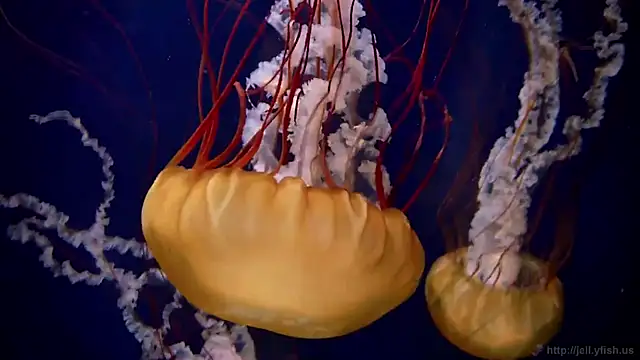 Snapshot of streamy_test15 chatting on March 18, 2026, 4:10 pm streamy test15 online show from March 18, 2026, 4:10 pm