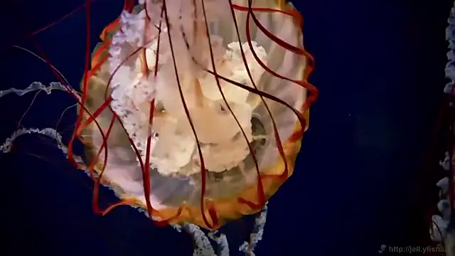 Snapshot of streamy_test15 chatting on March 27, 2026, 7:47 am streamy test15 online show from March 27, 2026, 7:47 am