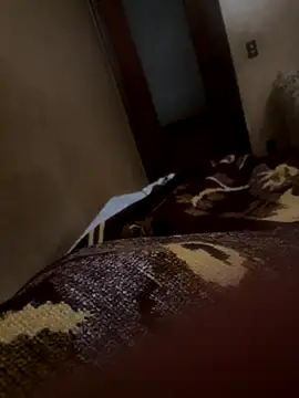 Snapshot of bigboy30X chatting on October 21, 2025, 2:51 pm bigboy30X online show from October 21, 2025, 2:51 pm