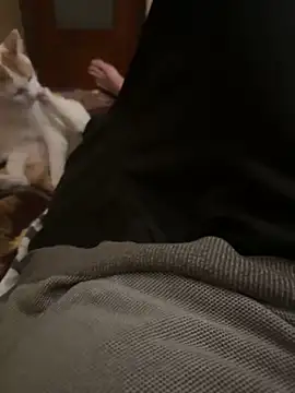 Snapshot of bigboy30X chatting on October 31, 2025, 4:19 pm bigboy30X online show from October 31, 2025, 4:19 pm