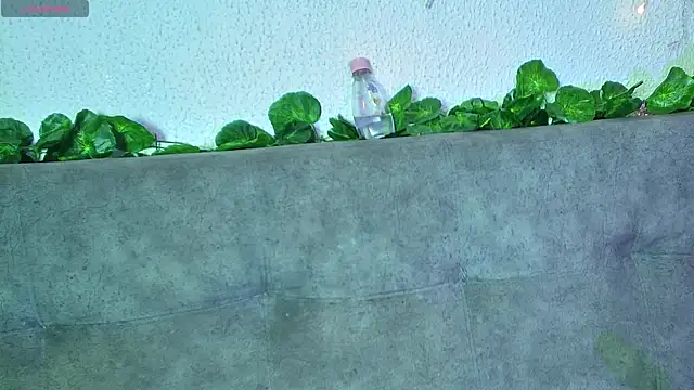 ari kat online show from December 22, 2024, 6:28 am