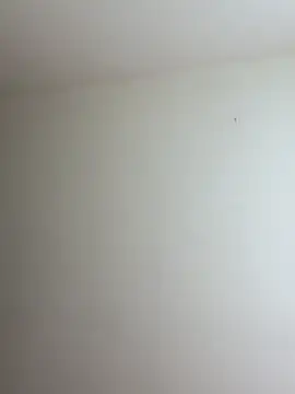 mikuru hara online show from April 4, 2026, 8:50 pm