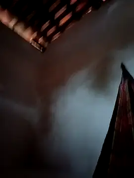 PIKAdePAU27 online show from December 24, 2024, 8:33 am